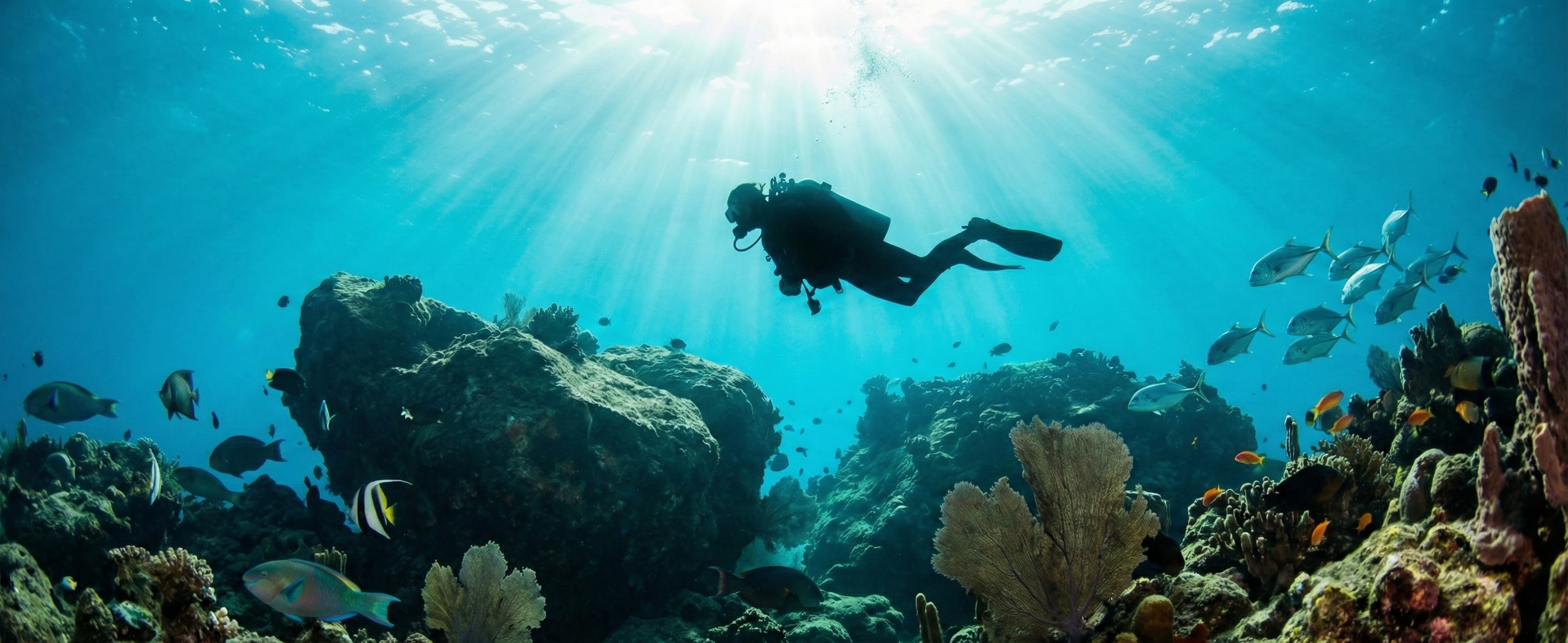 Crystal clear waters for diving in Cabo San Lucas